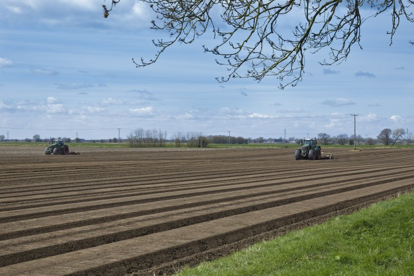 The Coldham Estate, near Wisbech, includes 4,179 acres (1,691 hectares), and is for sale as whole or in three lots