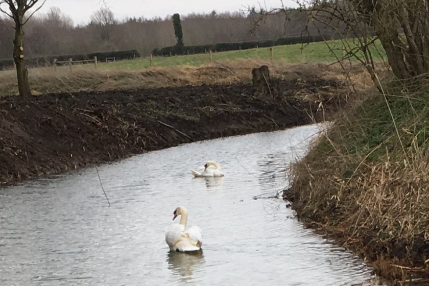 The work had been carried out between October and December 2018, but was only discovered in January 2019 (Photo: Environment Agency)