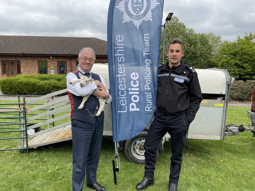 The ewe and two lambs were brought to the HQ as part an "authentic introduction to rural life", the force explained