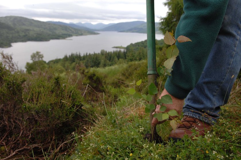 Scottish Forestry says the new tests will foster trust in the opportunities that forestry has to deliver high quality carbon credits