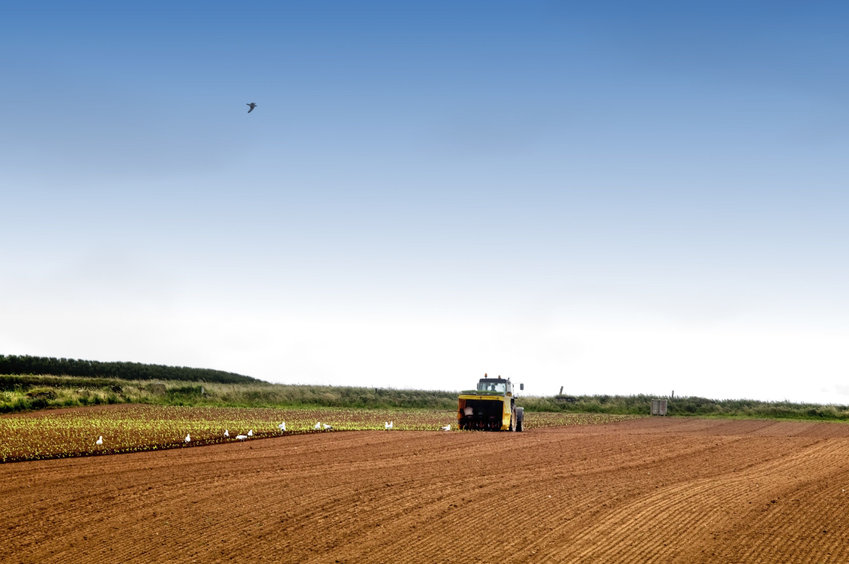 The government has decided to bring forward half of this year’s BPS payment as an advance injection of cash to farms from the end of July