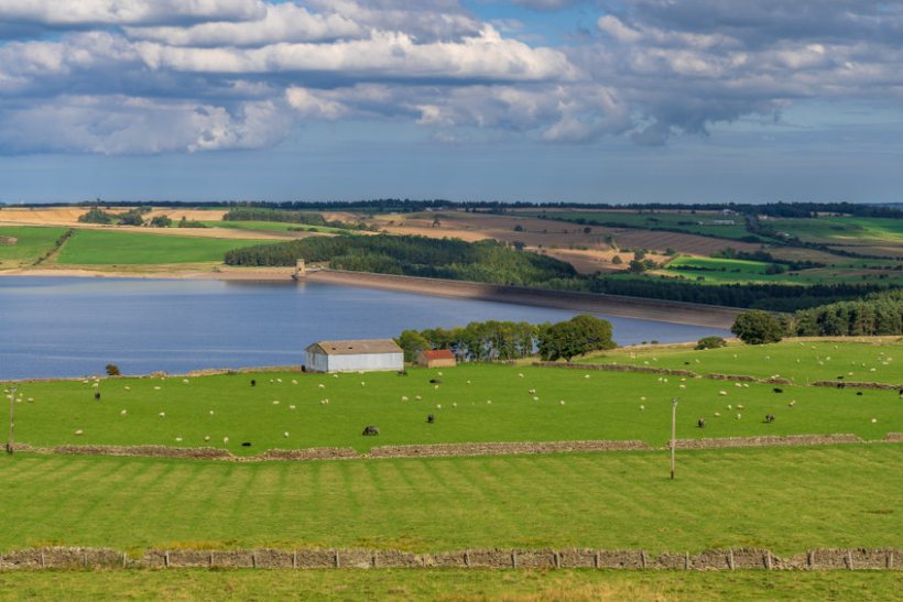 The Liberal Democrats have demanded that the Queen’s Speech address 'glaring issues' being faced by people living in the countryside