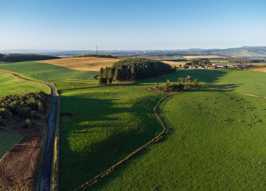 Downfield Farm is a livestock and arable enterprise which also has a successful abattoir and custom butchery business