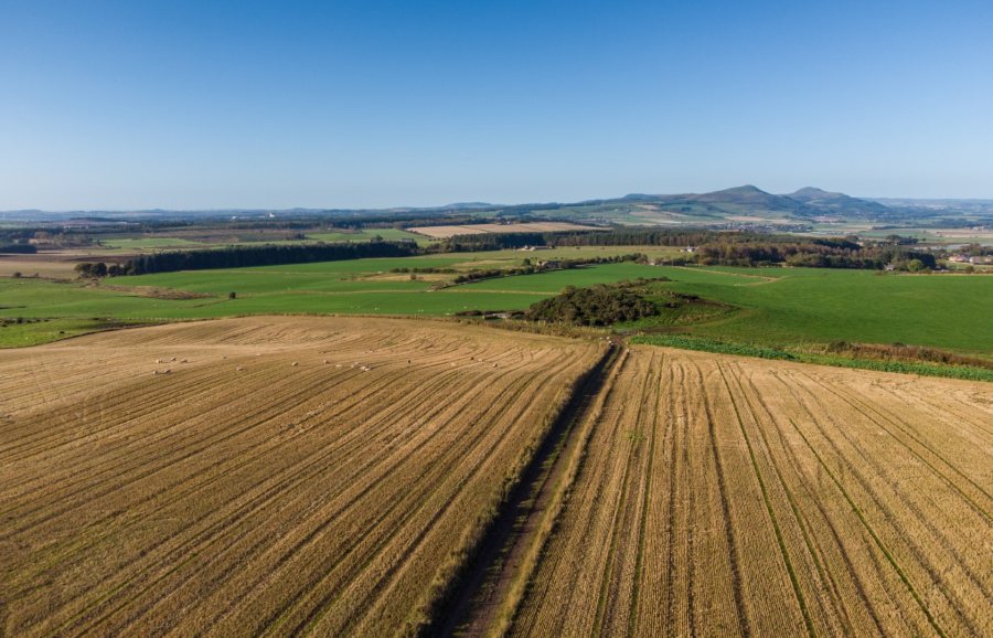 The farmland is well suited to growing a wide range of arable crops including barley and wheat