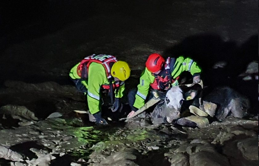 What3Words was used by fire crews to pinpoint the cow's exact location (Photo: South Wales Fire and Rescue Service)