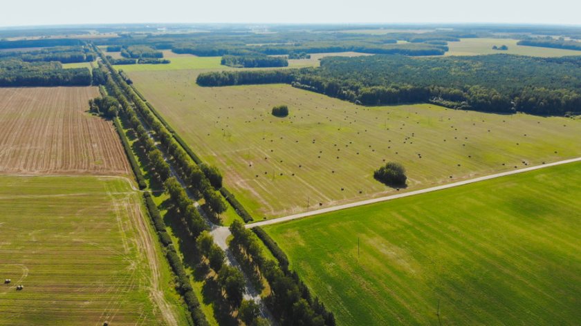 The scholarship was launched to encourage young farmers to travel the world and learn more about agriculture in other countries