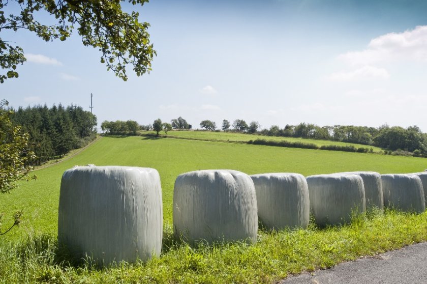 Following a dry start to 2022, baled silage can be prone to soil contamination due to dust and slurry being incorporated into bales