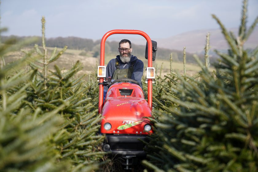 In Dartmoor, a 70-acre Christmas tree farm owns and operates the Sirio 4x4, the world’s smallest tractor