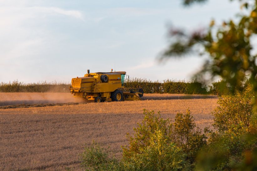 Farmers 'need confidence' from government to continue producing high-quality and affordable food, according to the Ulster Farmers Union