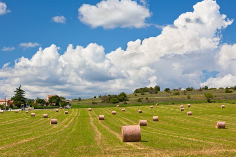 The move would allow the 27 EU Member States to pay a one-off lump sum to farmers and agri-food businesses affected by rising input costs