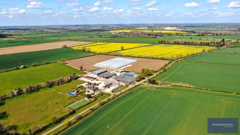 The farm, which has now welcomed its first strawberries, is working with a company which caters for large-scale sporting events
