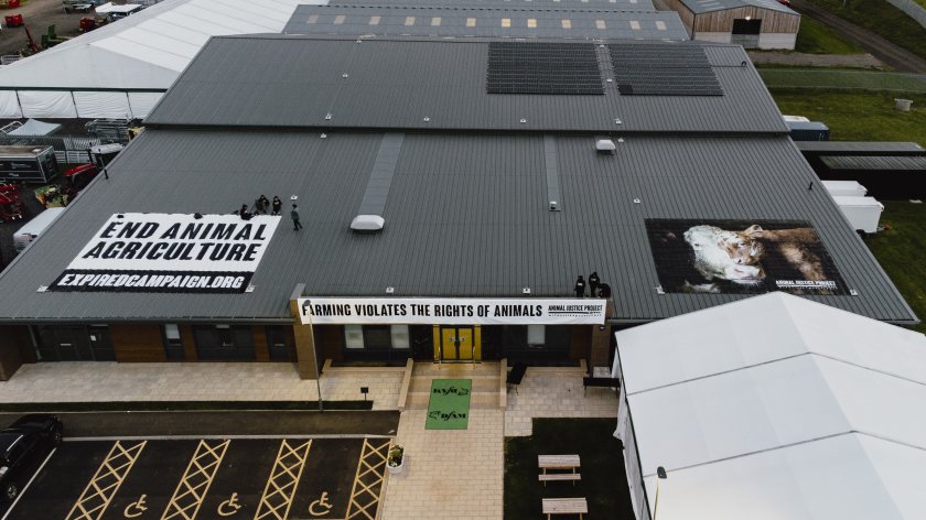 The activists, who scaled Darlington Farmers Mart in the early hours of Saturday morning, say their plan is to stay on the roof 'indefinitely'