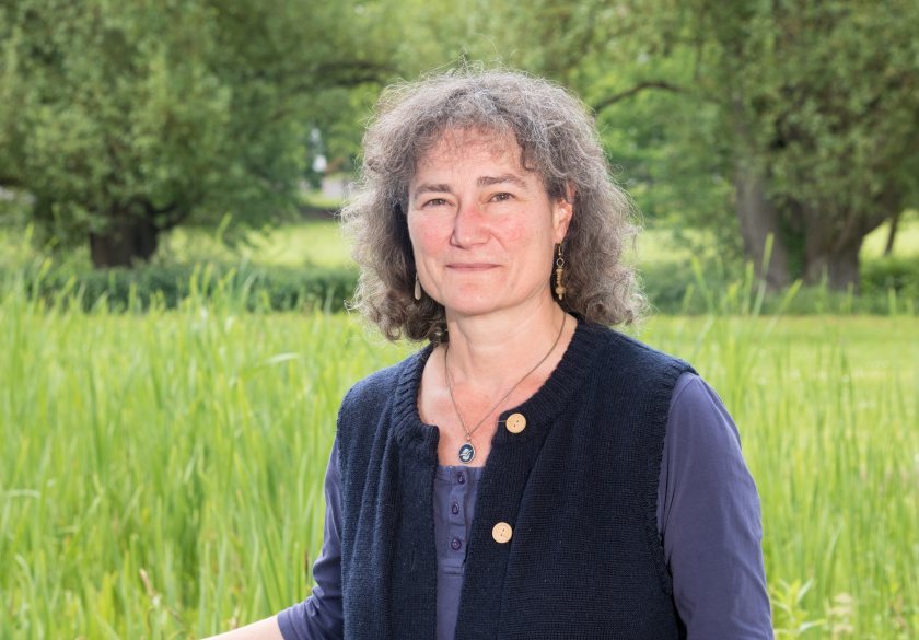Professor Janet Dwyer received the award for her services to rural research over more than three decades