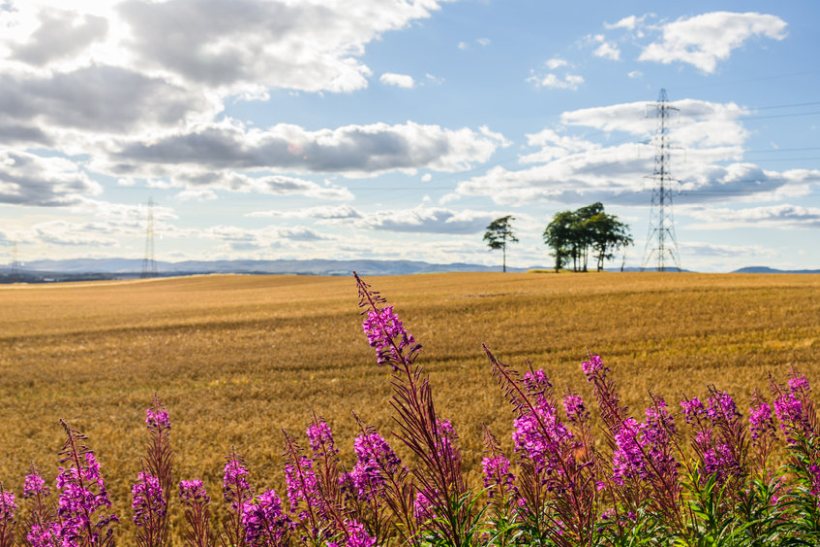 Written by over 300 experts from various sectors, the report warns there is currently significant barriers to private investment in nature