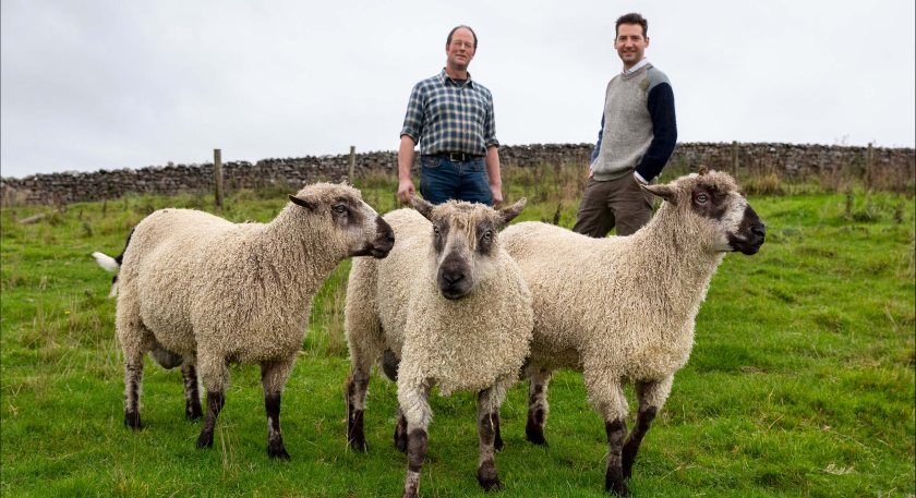 Fleeces were taken from farms within a 5-mile radius of Glencroft, to help local farmers receive a fair price for their fleeces