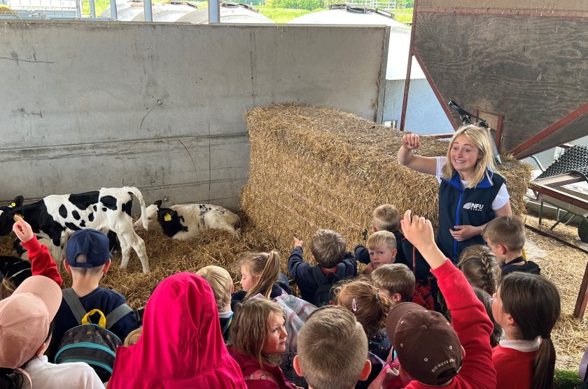 NFU Cymru Student & Young Farmer Ambassador Erin McNaught spoke to children about dairy calves