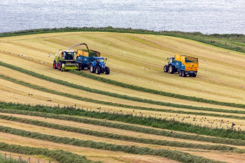 The Ulster Farmers’ Union (UFU) said the NI protocol must be "workable for every farming sector"