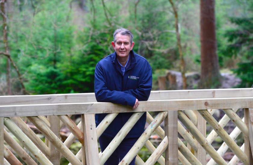 DAERA minister Edwin Poots said both schemes were designed to attract farmers and other landowners to plant new woodland