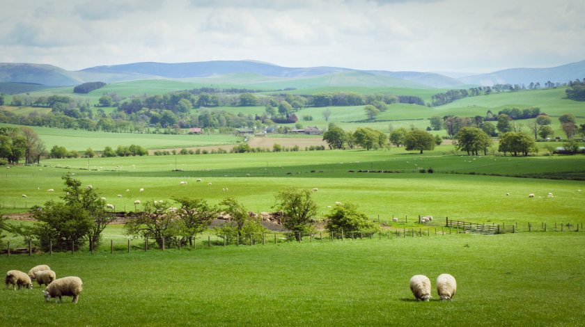 Projects which aim to boost food security and address the climate crisis will benefit from a major Scottish government funding programme