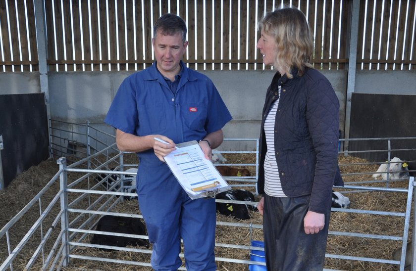 Feedback was gained from 248 dairy farmers, representing both all year round and block calving herds (Photo: MSD Animal Health)