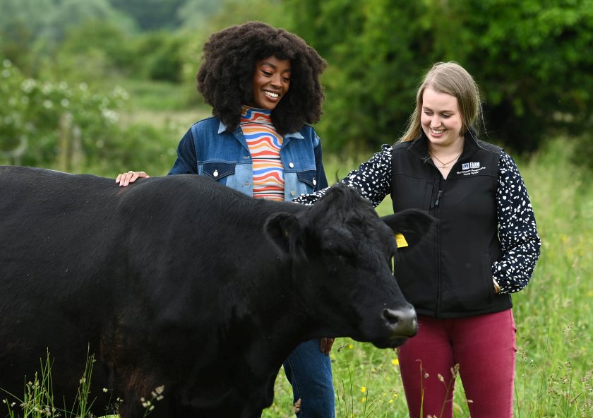 The lack of interest in entering the industry comes as three quarters of farmers say there is a significant skills shortage (Photo: McDonald's UK)