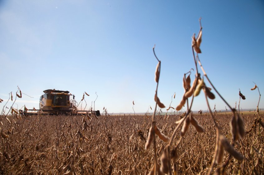 The funding will be used for farmers to collaborate on projects that seek to improve the efficiency and sustainability of protein crops