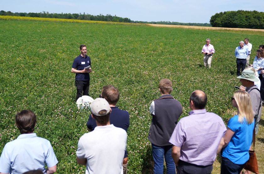 "Responsible English farming" is the ethos underpinning the entire business, Farm Manager Nick Down says