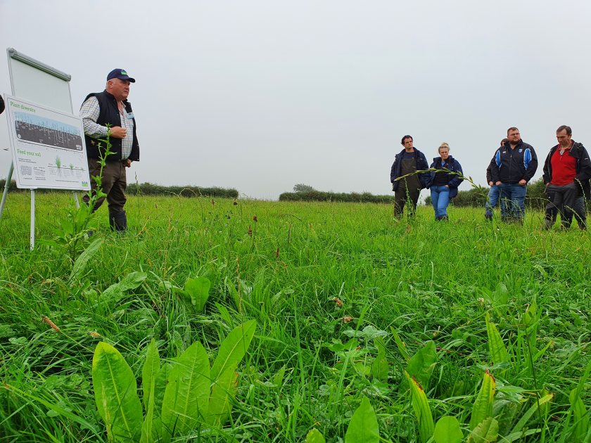 The co-op has announced that more than 90 percent of its producers have signed up to its regenerative farming programme