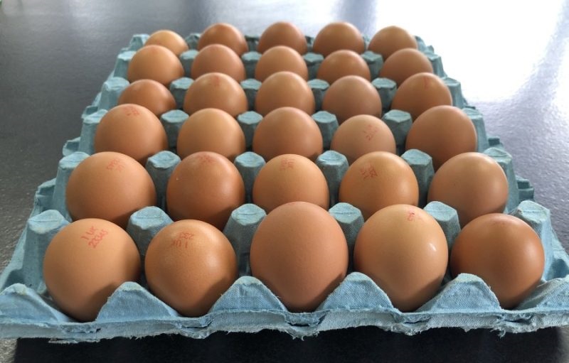 Supermarkets and egg buyers must ensure that recent price increases in shops is reflected in the money paid to farmers, the sector says