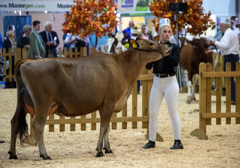The UK's largest dairy event - The Dairy Show - returns on Wednesday 5 October at the Bath & West Showground in Somerset