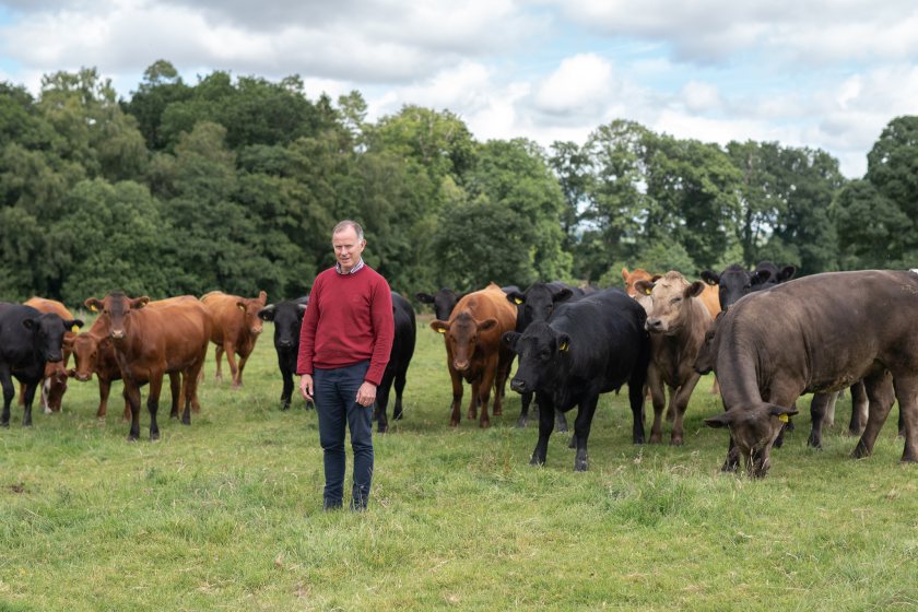 The North Wales estate is on the lookout for a new farm manager following Gareth Jones’ decision to retire
