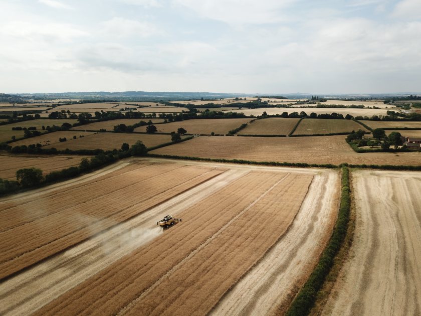 As inflation reaches a 40-year high, new analysis from property consultancy Carter Jonas suggests the value of farmland will hold firm or grow