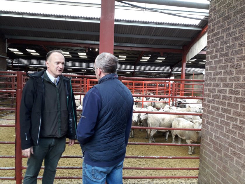 MPs will look at how the rollout of the post-Brexit agri scheme is going, and whether Defra has listened to farmer feedback (Photo: EFRA)