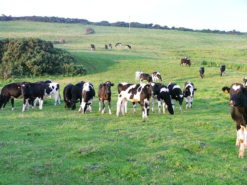 The majority of Welsh farmers intend to reduce production next year as a consequence of increased costs and other factors