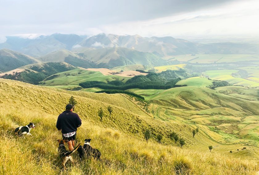 Warwickshire farmer Charlie Beaty, who won the award in 2019, travelled to New Zealand to investigate grassland management