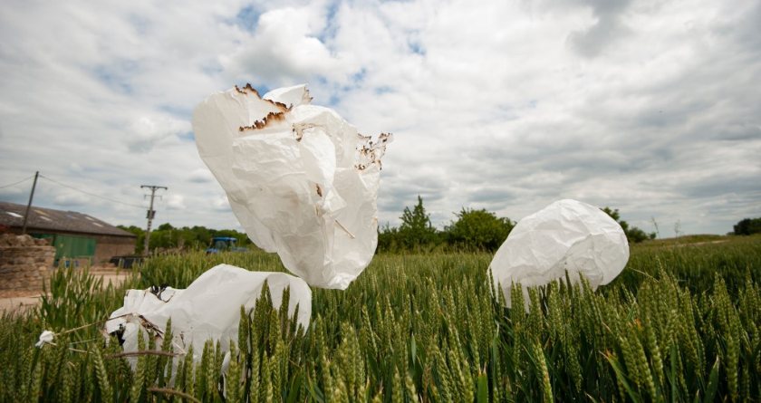 Sky lanterns can start fires in fields of crops and the wider countryside, the NFU warns (Photo: NFU)