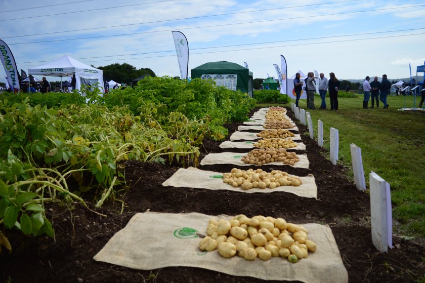 After cancelling the event in 2020 and holding a socially distanced event in 2021, Potatoes in Practice is back in full force next month