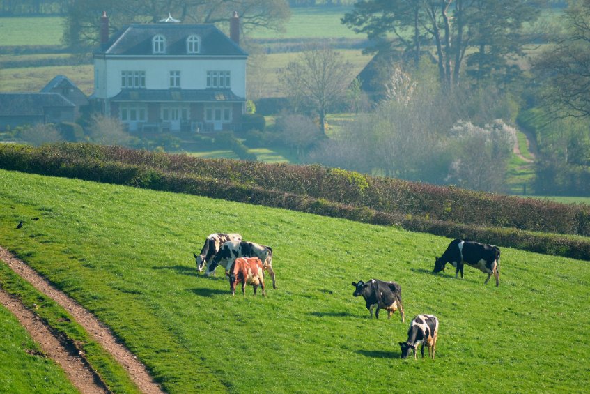 The project aims to boost the rural economy in the South West by helping farmers to improve their business and the environment