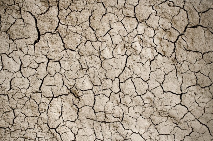 Most of the country now has low river levels, with significant consequences for the farming industry, nature and wildlife