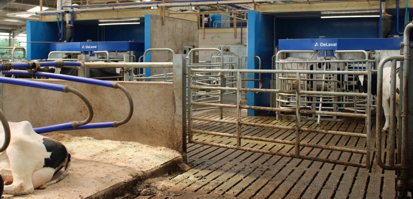 The family have recently entered a new era by investing in two DeLaval VMS 310 milking robots