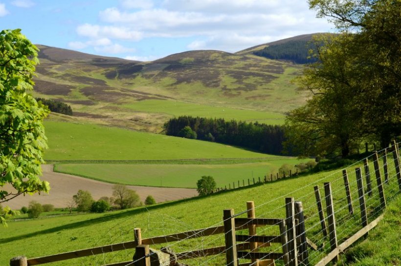 Less profitable farms in poorer areas of the country could benefit the most from the shift to net zero agriculture, research has found