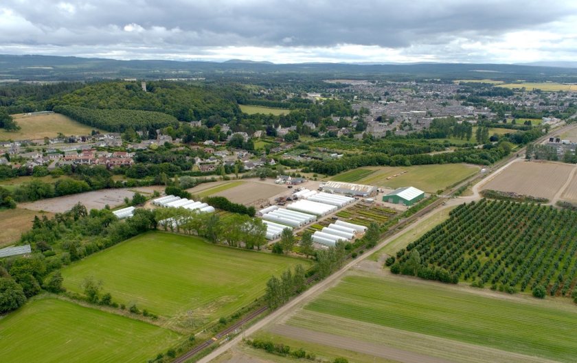 The Moray-based business, established in 1819, produces and ships millions of finished trees each winter