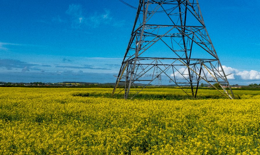 The NFU says that power companies must recognise the needs of farmer and grower businesses across the country