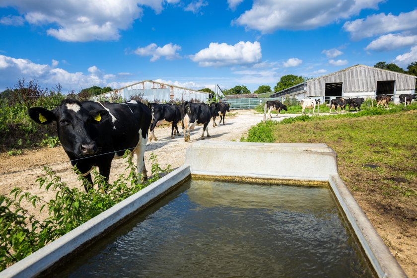 South East Water is working with farmers in the region to help them increase resilience to future droughts (Photo: South East Water)