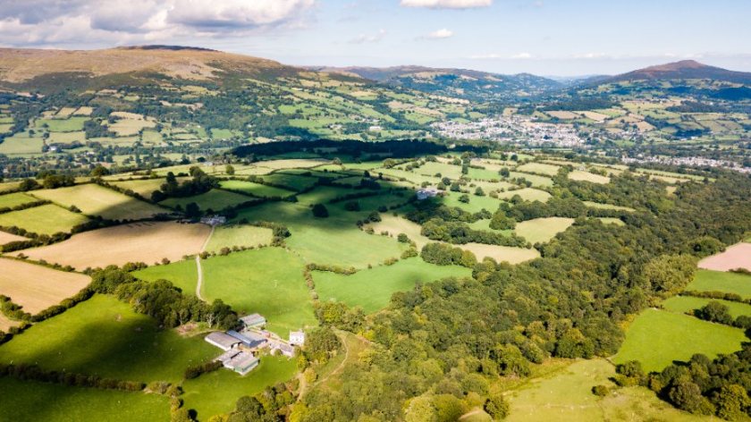 The Welsh government's plans involve planting trees on agricultural land, sparking fears that food production would cease