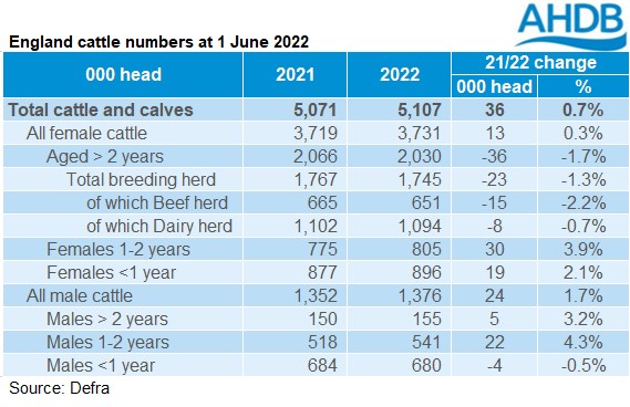 England cattle numbers at 1 June 2022 (Photo :AHDB/Defra)