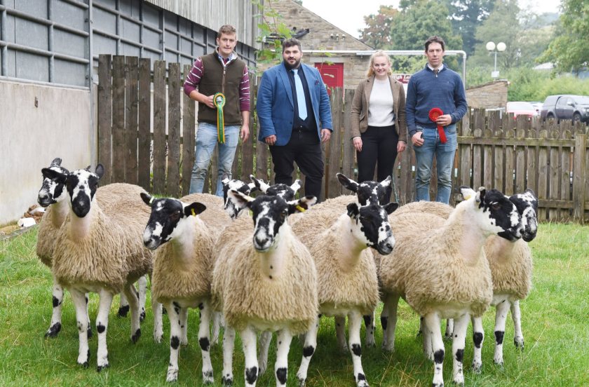 The Walker family’s latest champion 10s at the CCM Skipton NEMSA Mule gimmer lamb opener