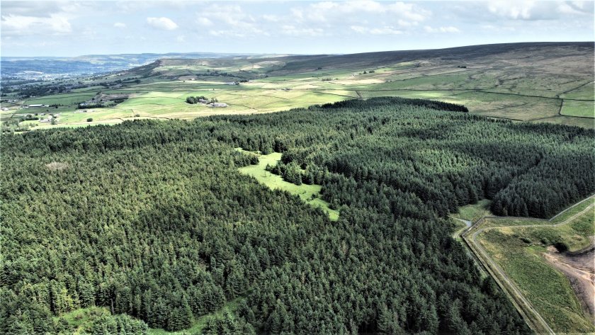 The 135-acre forest lies between the towns Colne and Keighley and was principally planted in 1972 (Photo: Tustins Group)