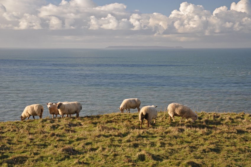 Converting grazing land to arable is 'unsustainable' in the West Country and other parts of northern Europe, a new study warns