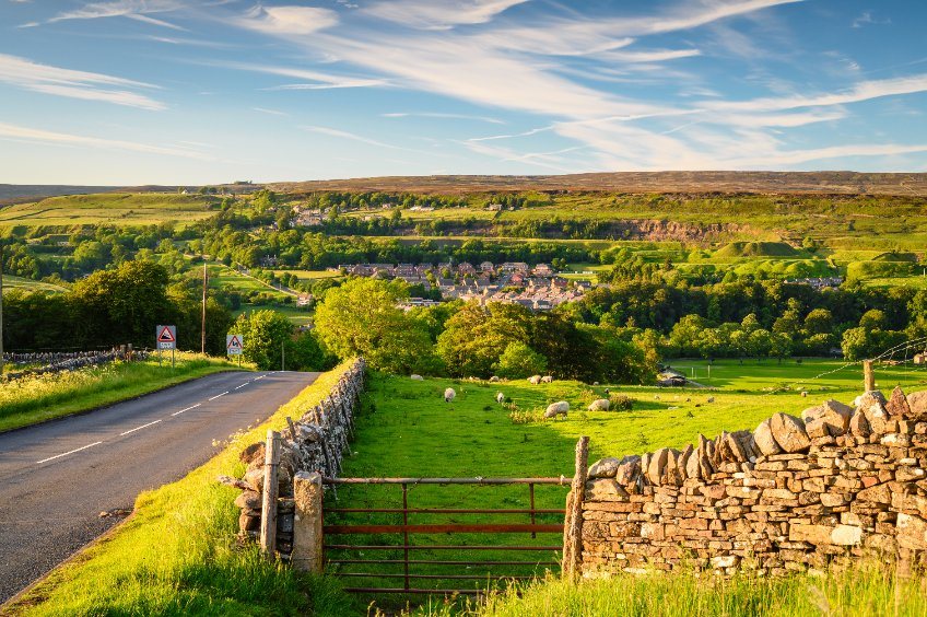 Small areas of woodland on farms will soon attract funding supporting sustainable agriculture under planned changes to legislation